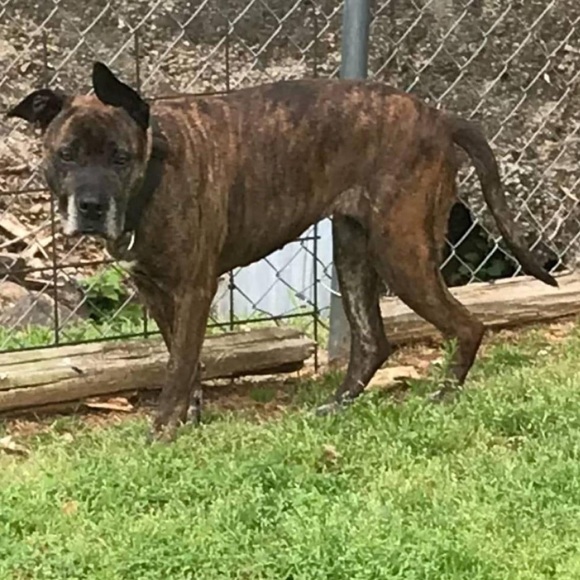 Meet your Posher, CathyBunny - Picture 11 of 16